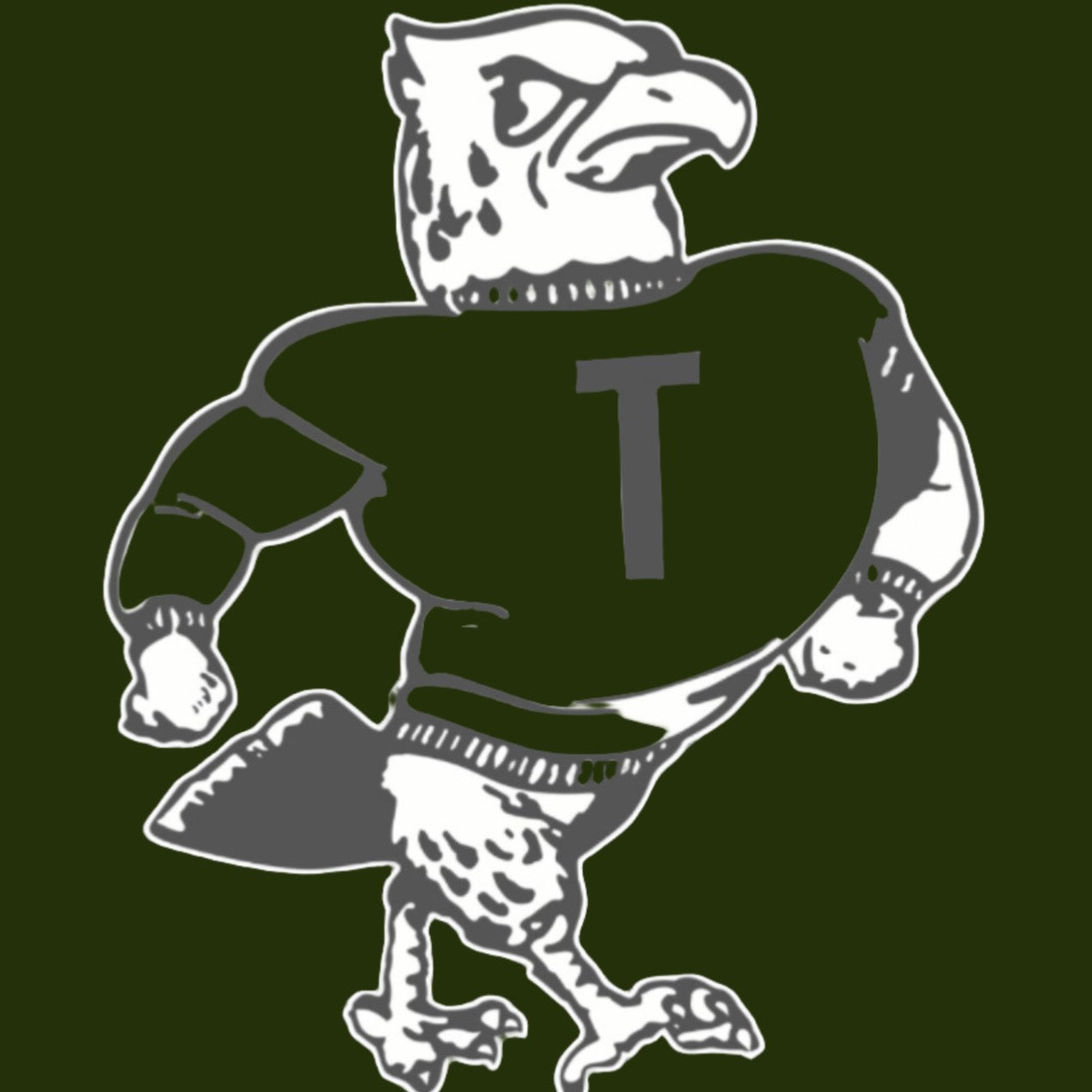 THS BAD BIRD PARTNER